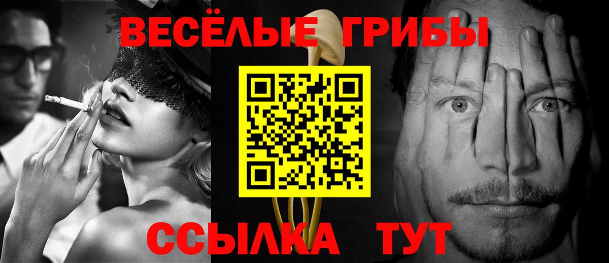 закладки  Вход с VPN  Гуково  Псилоцибиновые грибы мицелий  Псилоцибиновые грибы Magic Shrooms 
